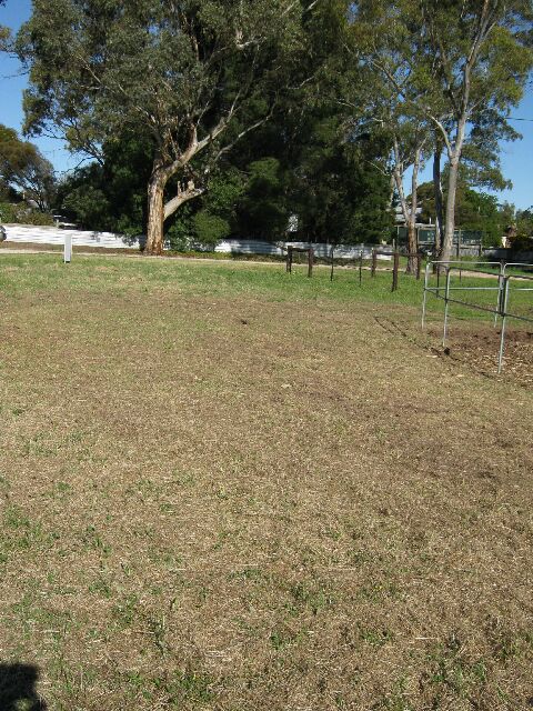 Vacant Land Picture 2
