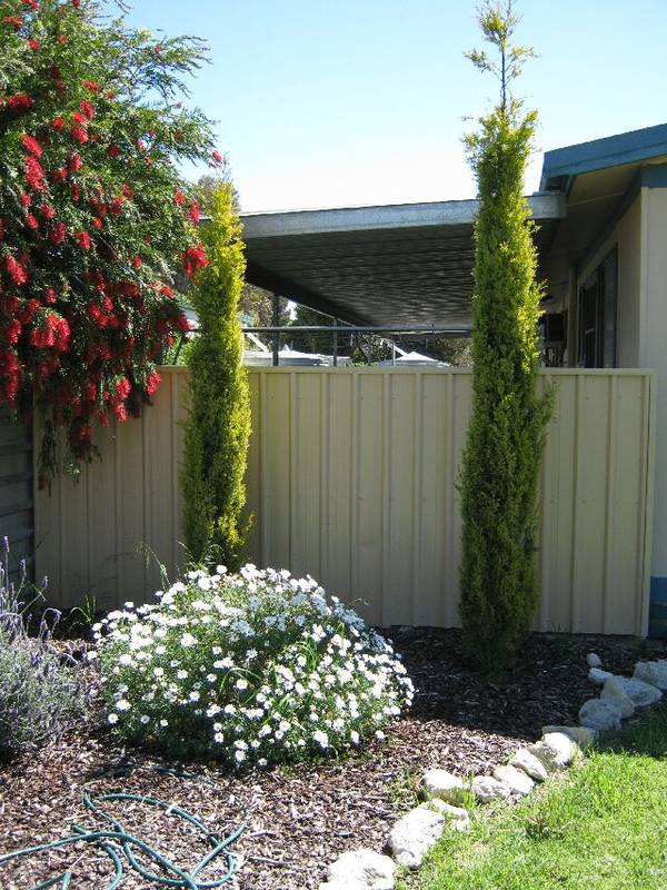 Investors Should Check This Out Picture 2