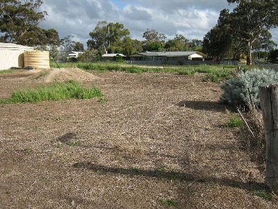 Vacant Land Picture