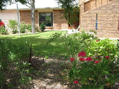 Just Move in and Smell the Roses Picture Just Move in and Smell the Roses Picture