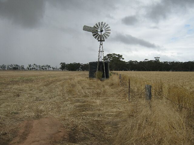 Absolute Prime Cropping Country Picture 2