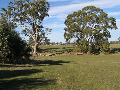 247HA
Bordertown
612 Acres Picture