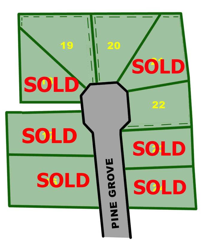 'The Oval Stage 2' Picture 2