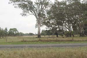 GREAT LIFESTYLE OPPORTUNITY Picture 3