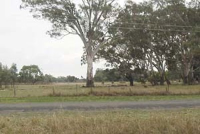 GREAT LIFESTYLE OPPORTUNITY Picture