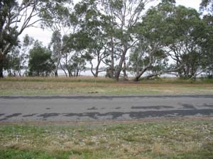 GREAT LIFESTYLE OPPORTUNITY Picture 2