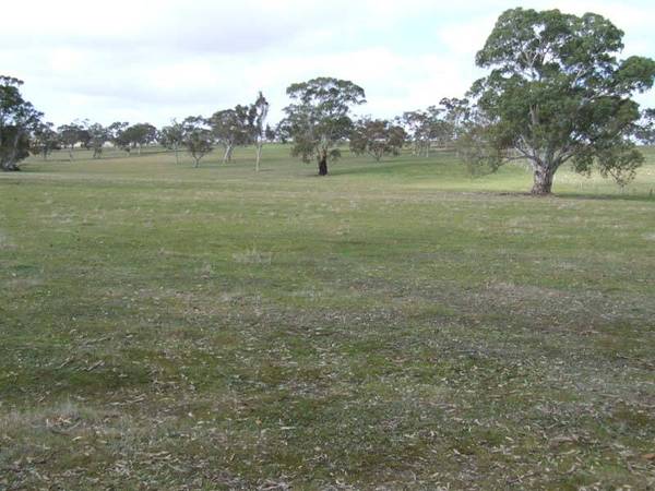 Large Property with Enormous Potential Picture 1