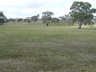 Large Property with Enormous Potential Picture Large Property with Enormous Potential Picture