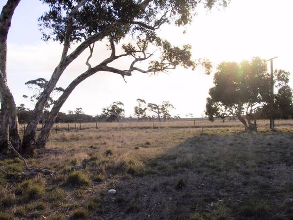 Panoramic View to the West Picture 2