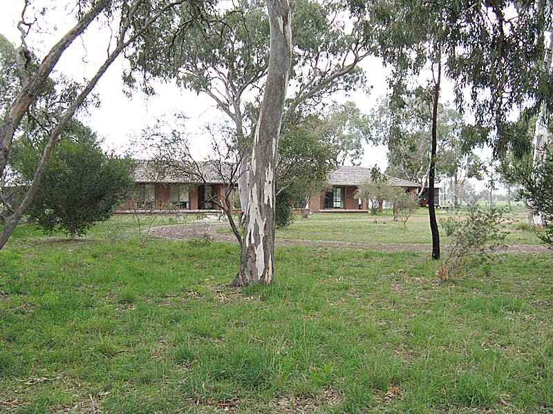 Enjoy the Best of Both Worlds Picture 2