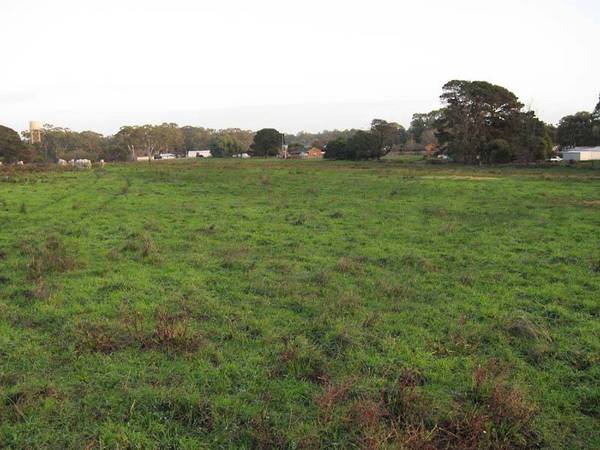 Land up for grabs! Picture 1