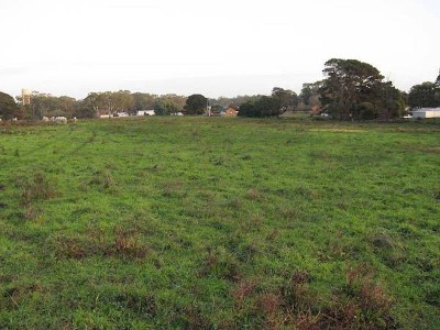 Land up for grabs! Picture