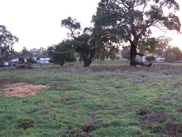 Land up for grabs! Picture 2