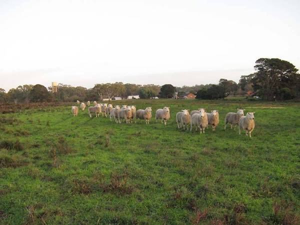 Land up for grabs! Picture 3