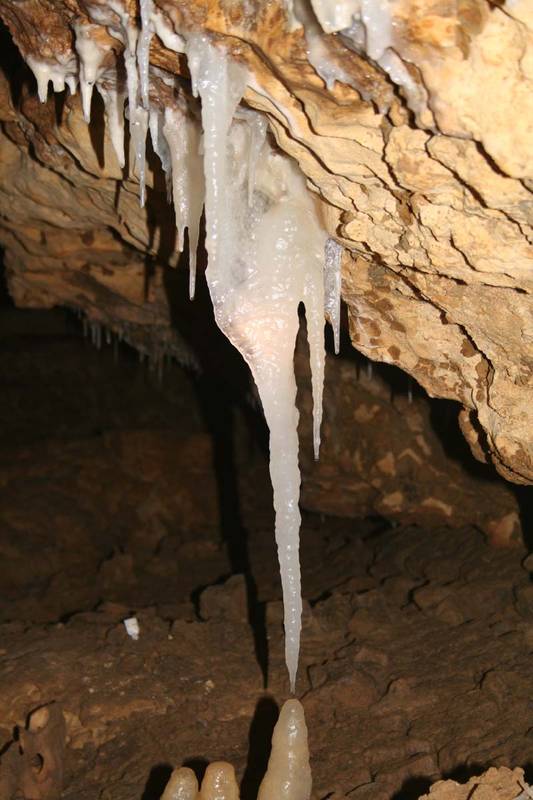 Opportunity of a Lifetime Picture 1