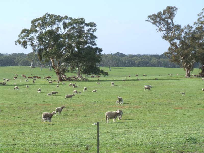 Opportunity of a Lifetime Picture 2