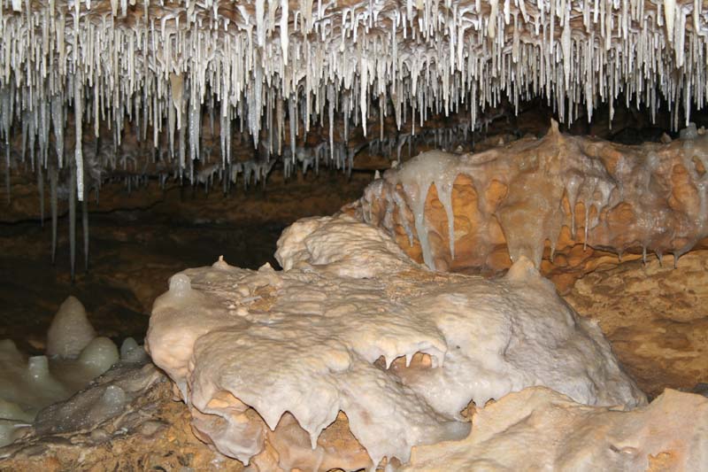 Opportunity of a Lifetime Picture 3