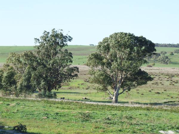 Magnificent Views, Easy Living. Picture