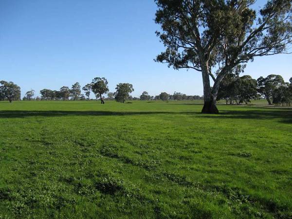 A QUALITY PROPERTY Picture 2