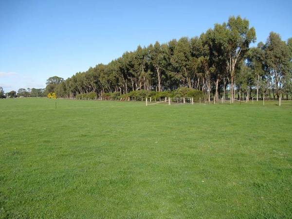 A QUALITY PROPERTY Picture 3