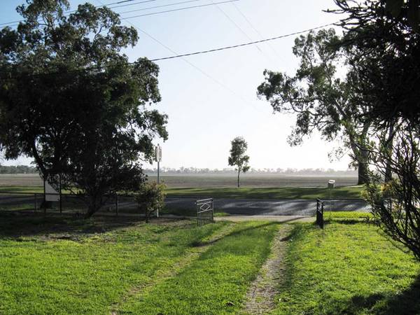 GOLDEN OPPORTUNITY Picture