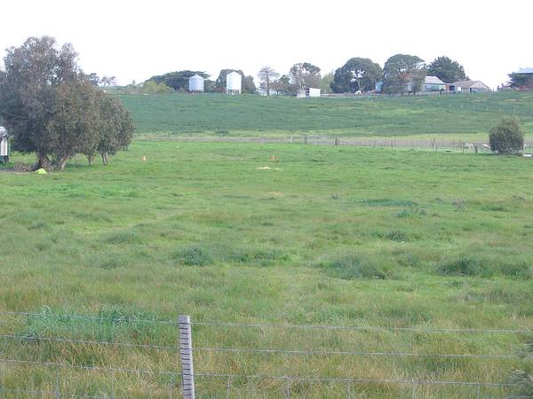 Desired Lifestyle Allotment! Picture