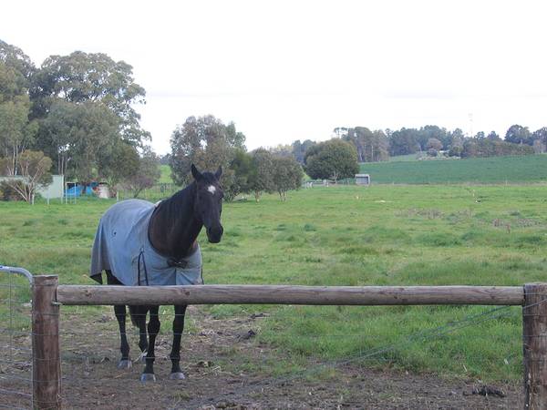 Desired Lifestyle Allotment! Picture
