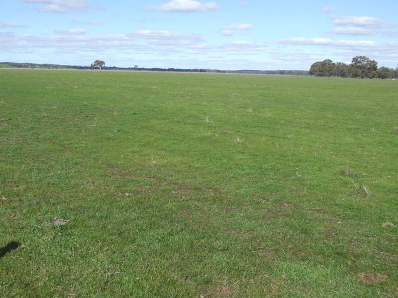 GRAZING/CROPPING LAND Picture 3