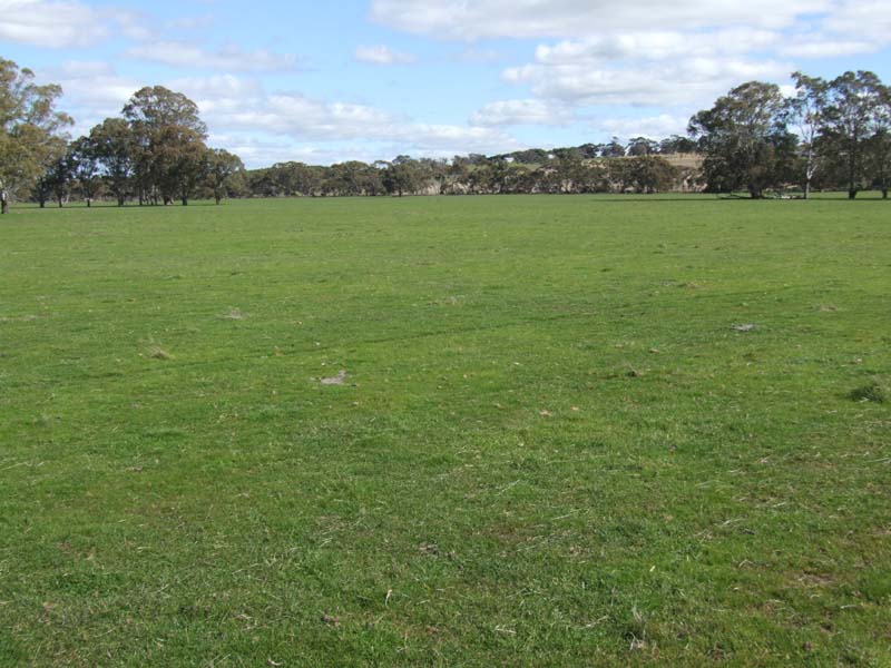 GRAZING/CROPPING LAND Picture 1