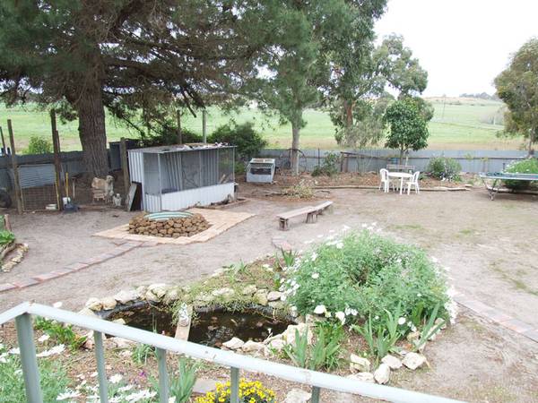 Perfect Starter Picture