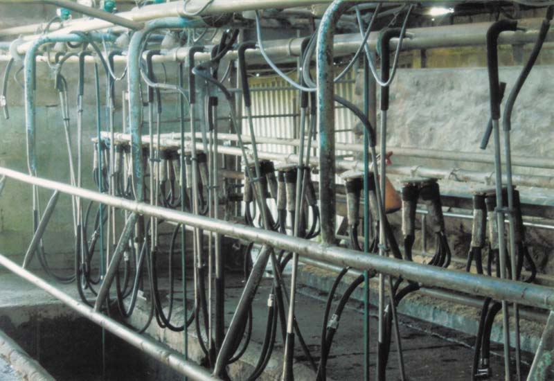 Plenty of Water! Picture 2