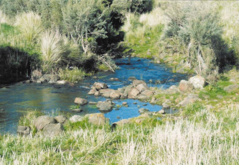 Plenty of Water! Picture 1