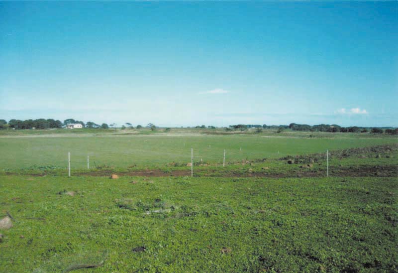 Plenty of Water! Picture 3