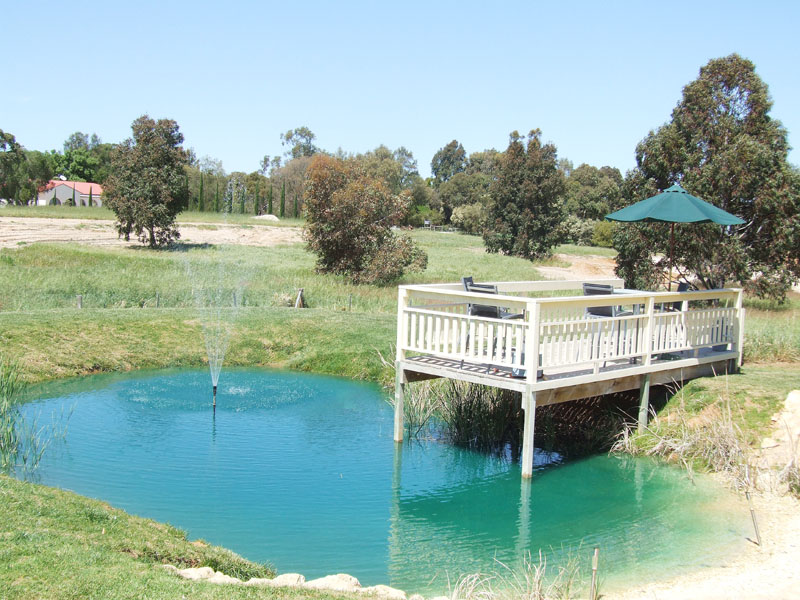 Peaceful Paradise Picture 2