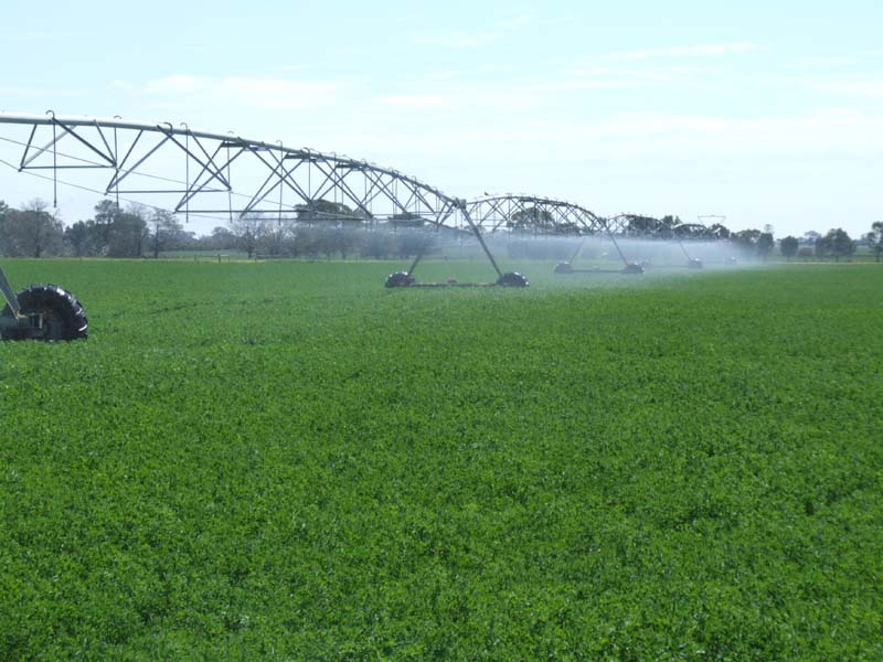 PROLIFIC CLOVER and CROPPING COUNTRY with ENDLESS OPPORTUNITIES Picture 2