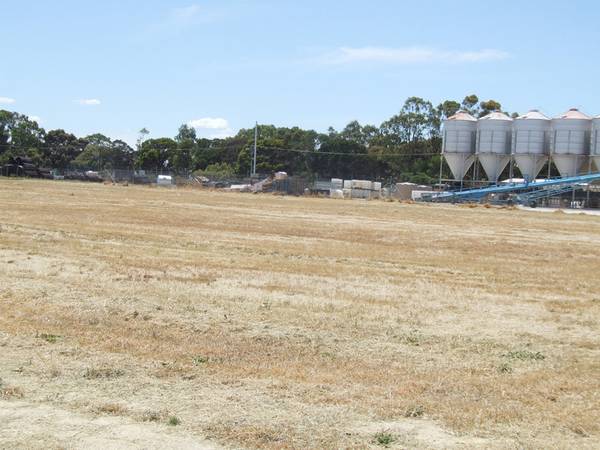 This is the Site! Picture