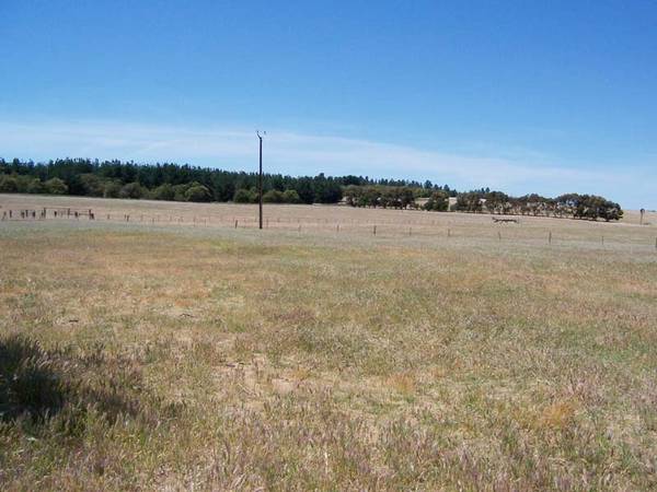 PRIME ACRES WITH SUBSTANTIAL HOME Picture 3