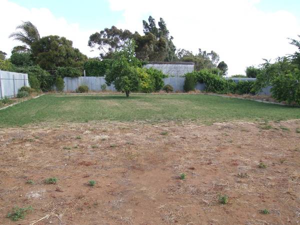 How's This For Starters? Picture