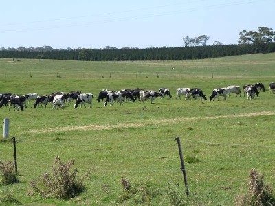 Opportunity for numerous pursuits. Picture