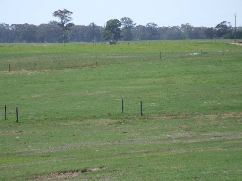 Opportunity for numerous pursuits. Picture 3