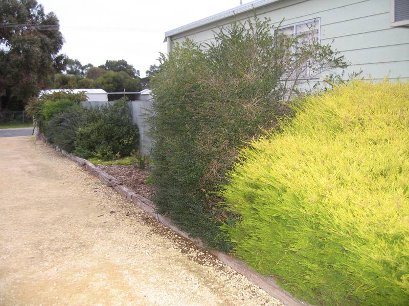 Walking distance to main street Picture