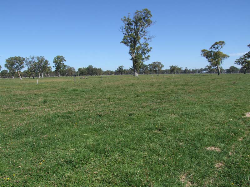 Working Dairy - Walk In Walk Out Picture 2