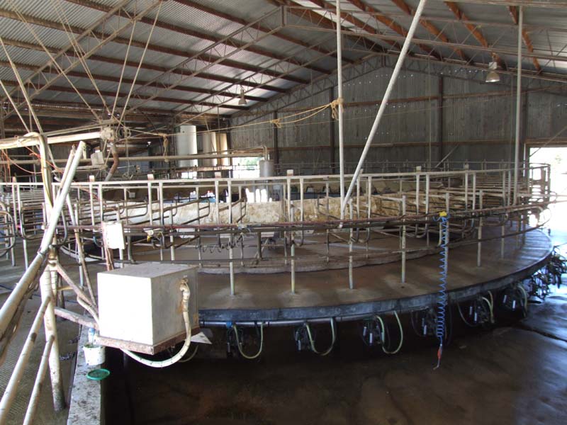 Working Dairy - Walk In Walk Out Picture 1