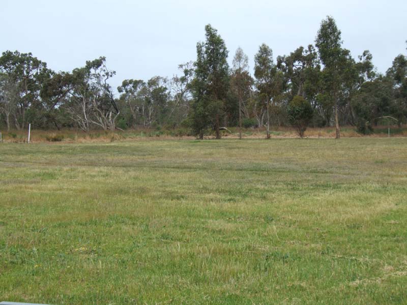 Large Building Block Picture 1