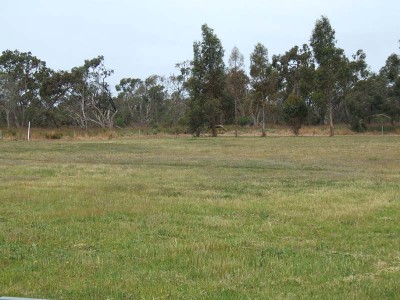 Large Building Block Picture