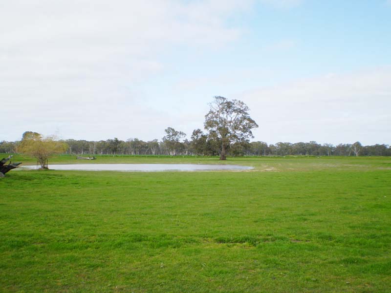 VERSATILE WEST WIMMERA PROPERTY Picture 3