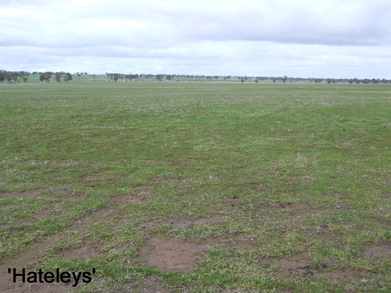 Two non-contingent lots Picture 2