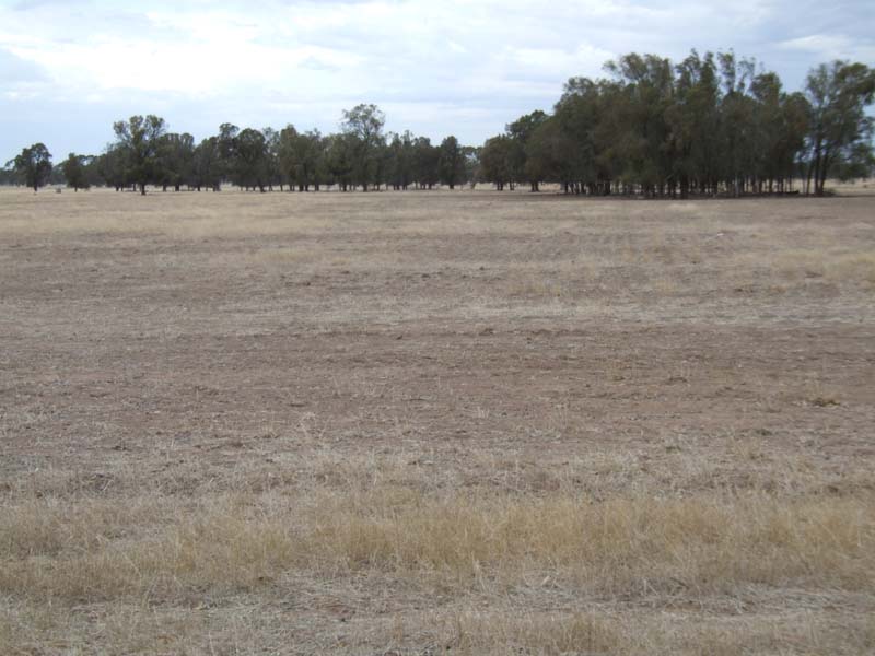 ATTRACTIVE COUNTRY Picture 2