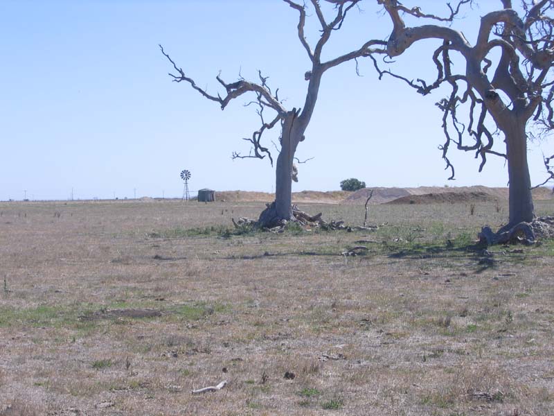 Catch the Country Craze Picture 1