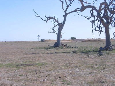 Catch the Country Craze Picture